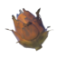 TotK Roasted Voltfruit Icon.png