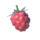 HWAoC Wildberry Icon.png
