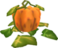 A Pumpkin plant from Skyward Sword