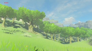 BotW Ginner Woods.png