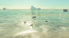 A screenshot of the Side Quest.