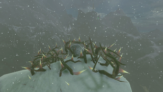 Rock under Bramble screenshot from Tears of the Kingdom
