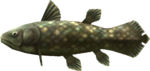 MM3D Ancient Fish Model.png