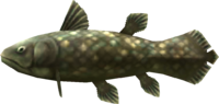 MM3D Ancient Fish Model.png
