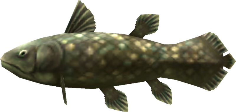 File:MM3D Ancient Fish Model.png
