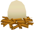 Pocket Egg as seen in game