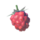 BotW Wildberry Icon.png