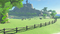 Hateno Pasture