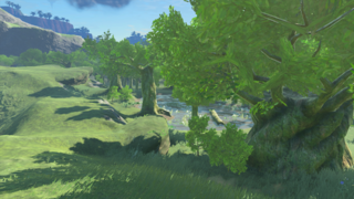 Finra Woods screenshot from Tears of the Kingdom