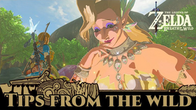 BotW Tips from the Wild Banner 14.png