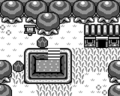 Exterior of Crazy Tracy's Health Spa from Link's Awakening