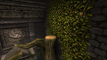 OoT3D Forest Temple Gold Skulltula.png