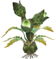 Brightbloom Seed
