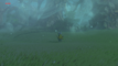 The Lost Pilgrimage
