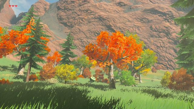 Rok Woods - Zelda Wiki