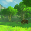 NSO BotW June 2022 Week 2 - Background 2 - Forest of Spirits.png