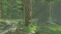 Link cutting down a Tree from Breath of the Wild