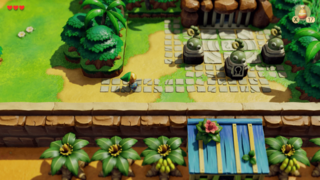 South of the Village screenshot from Link's Awakening (Nintendo Switch)