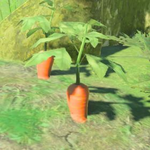 BotW Hyrule Compendium Swift Carrot.png