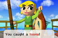 Link catching a Toona from Phantom Hourglass