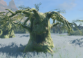 An open-mouthed Ogre Tree from Tears of the Kingdom