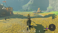 Link riding a Horse by Dueling Peaks Stable
