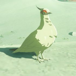 BotW Hyrule Compendium White Pigeon.png