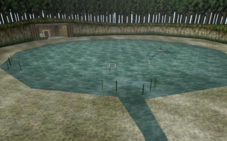 OoT Fishing Pond.png