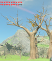A dead Tree from Breath of the Wild