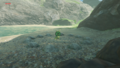 One of the Koroks found on Samasa Plain from Breath of the Wild