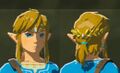 Link wearing the Diamond Circlet from Breath of the Wild
