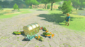 A promotional video of the rewards obtained from scanning the Toon Link (The Wind Waker) amiibo from Breath of the Wild