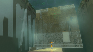 A screenshot of the cage inside the Shrine.