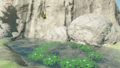 The Korok found on Davdi Island from Breath of the Wild