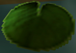 OoT Lily Pad Model.png