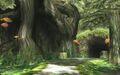 The Sacred Grove in Twilight Princess