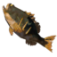 TotK Roasted Hearty Bass Icon.png