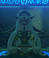 The Monk, Kalm Yu'ogh, bearing the Eye Symbol on his facial cloth covering from Breath of the Wild