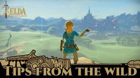 BotW Tips from the Wild Banner 11.png