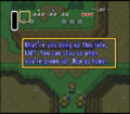 Link talking to a Guard in A Link to the Past