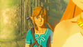 Link watching Zelda