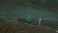 Mapla Point Cave