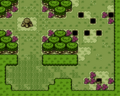 The Lost Woods in Spring from Oracle of Seasons
