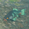 The Armored Carp in the Hyrule Compendium from Breath of the Wild
