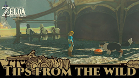 BotW Tips from the Wild Banner 02.png