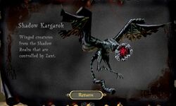 Shadow Kargarok Official Website.jpg