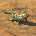 BotW Hyrule Compendium Fireproof Lizard.png