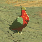 BotW Hyrule Compendium Hotfeather Pigeon.png