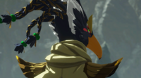 HWAoC Revali's Wishes.png
