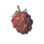 BotW Roasted Wildberry Icon.png